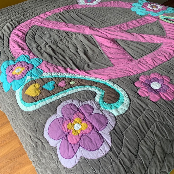 Pottery Barn Teen Quilt and shams - Picture 2 of 6